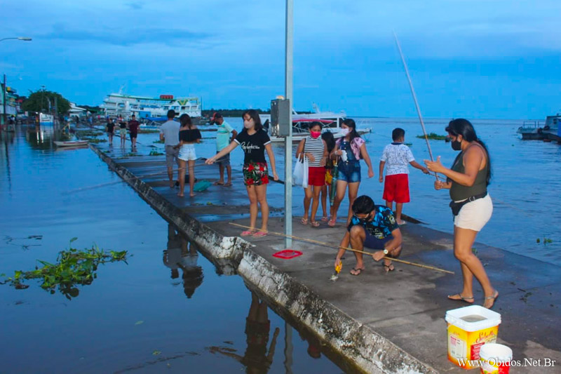 Área inundada no porto de Óbidos se torna local de pescaria